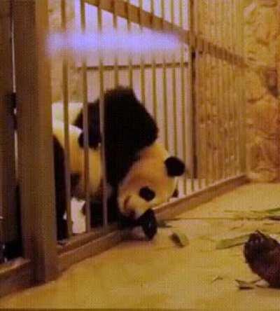 Nothing can keep our love apart