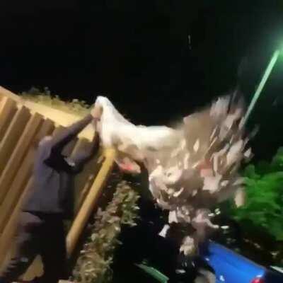 He must have regretted that a lot.