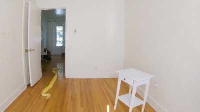 Got curious on what was making all that racket