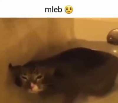 mleb