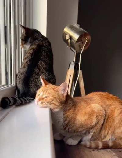 Look how cute the bite is