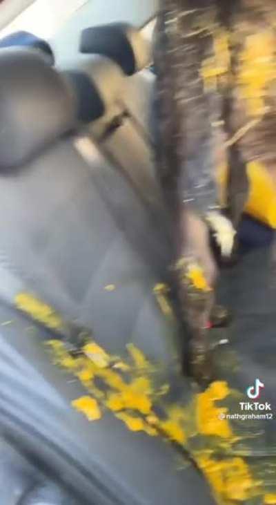 Do any of you know what the yellow stuff is?