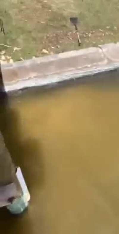 Sounds like the grape stomping lady