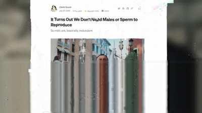 The War on Masculinity