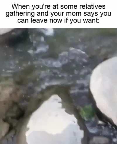 Is this a trick? can i actually leave?