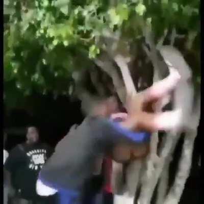 sexo_na_arvore_fodase