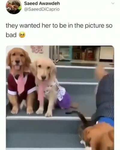 He just wants to be her in the group Photo.