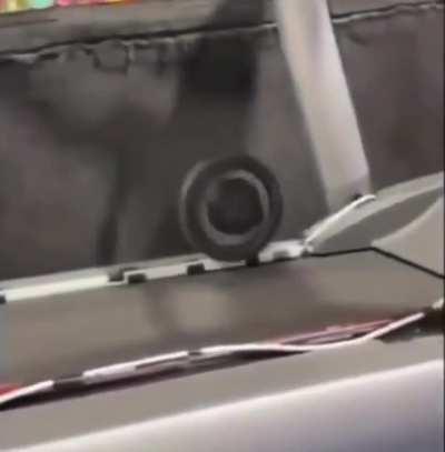 in favour of donating their knee?