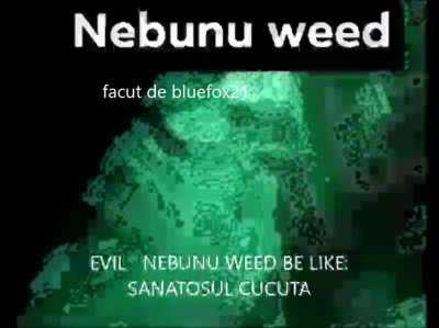 evil nebunu weed be like
