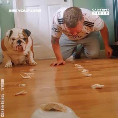 Doggo ain’t playing around