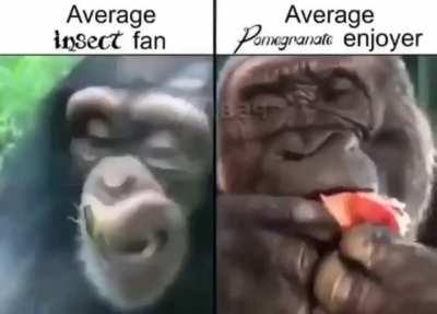 me on the right when I return to monke