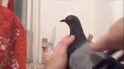 Favorite Wilbur Moment: Part 2