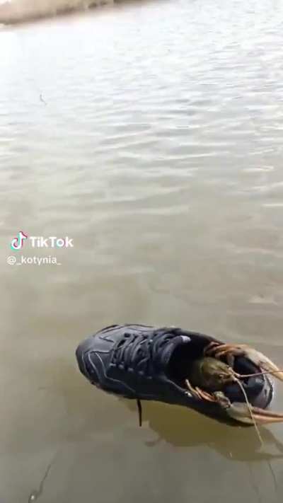 none cam tame the on the sailors cal the shado w