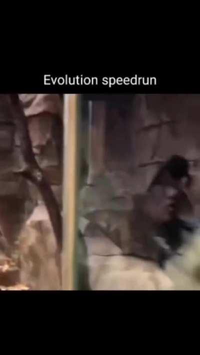 primeiro speedrun da historia