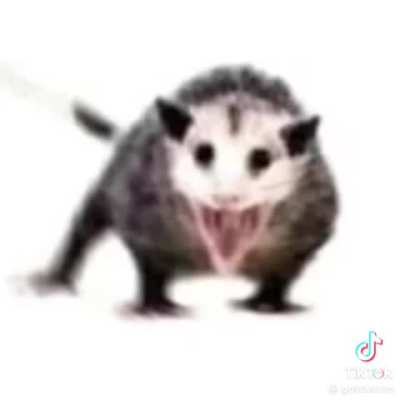 Namorada vs Aaaaaaaaah