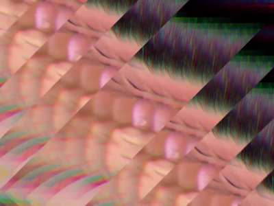 She’s a dirty bitch