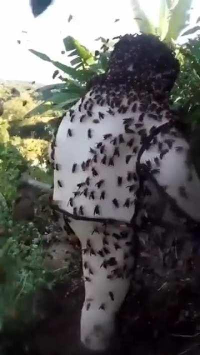 When your job involves avoiding swarming hornets.