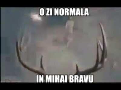 o zi normala in mihai bravu