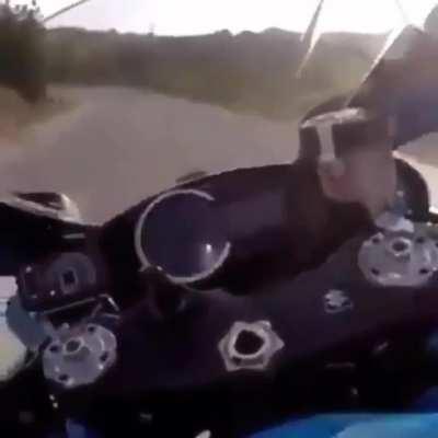 Nigga wanted to be a monkey so bad😂