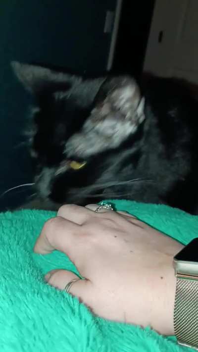 Queen Asha has demanded