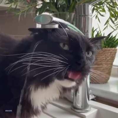 Me trying my best to focus on the task at hand.