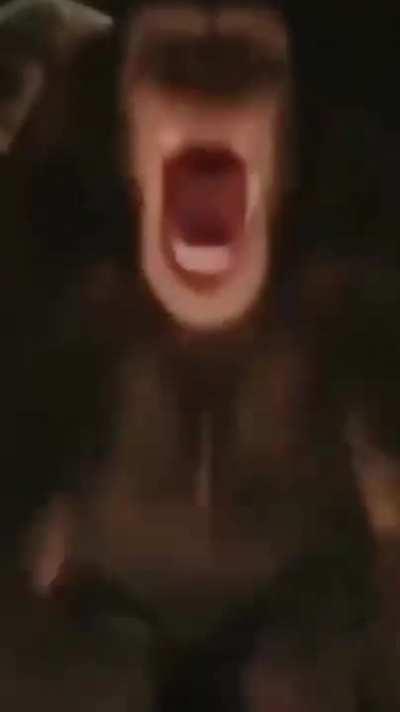 POV: You're about to experience a dragon break