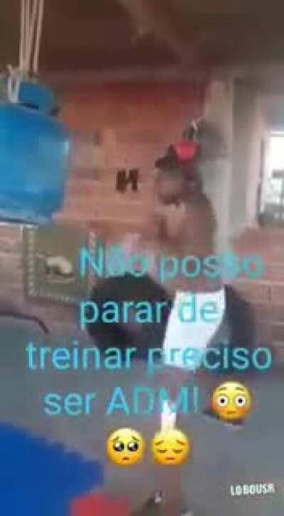 Tem vaga pra adm nessa porra ?