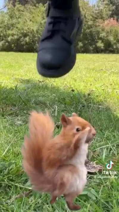 I live in Florida and even I find this odd.