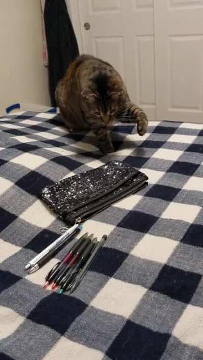 Took her a while to work up the courage...