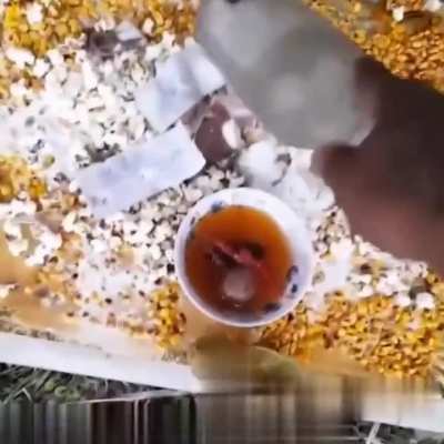 Heroes invisibles, nos vemo en el corso