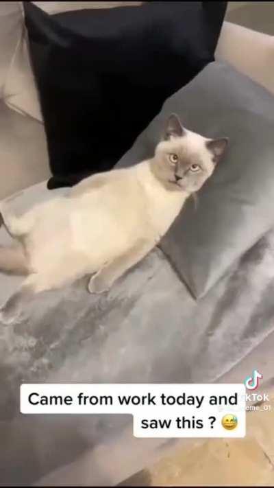 He just worked a 12 hour shift