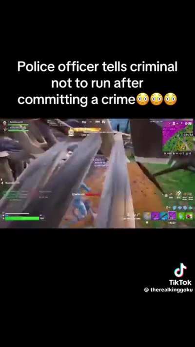 what video is this audio from