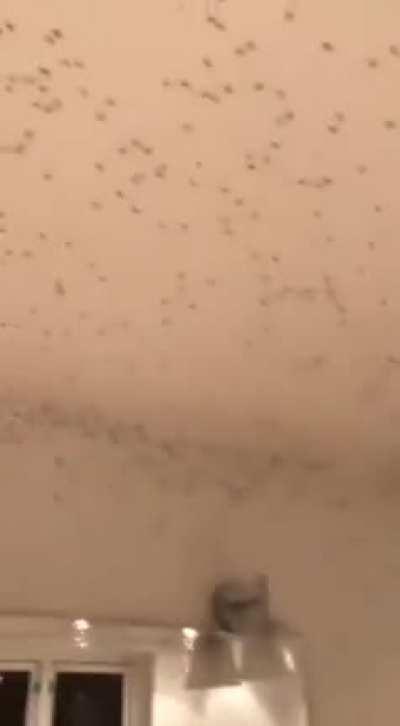 Probably should have closed the window