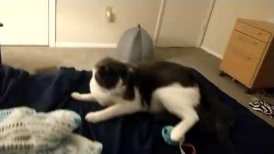 She loves to play and constantly trill (so many trills towards the end)