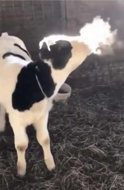 I always did stuff like this when I was little!