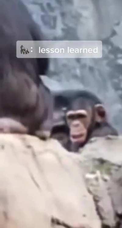 Just a dad beating his kid for throwing rocks at people.