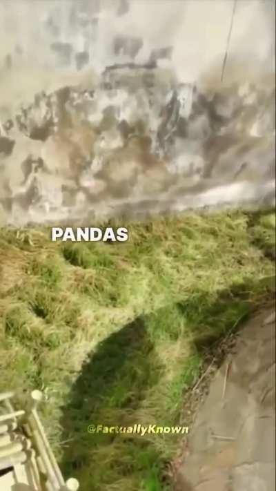 They are just like me fr