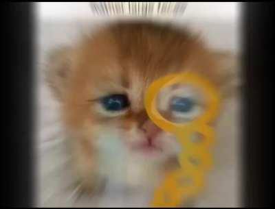 i made an edit of big poo