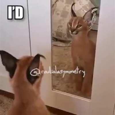 dont mind me, im just farming karma