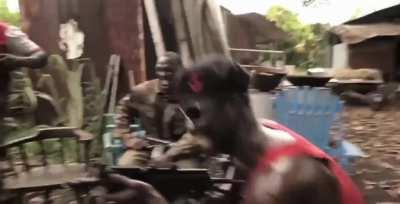 and that's how they started the war for the planet of the apes