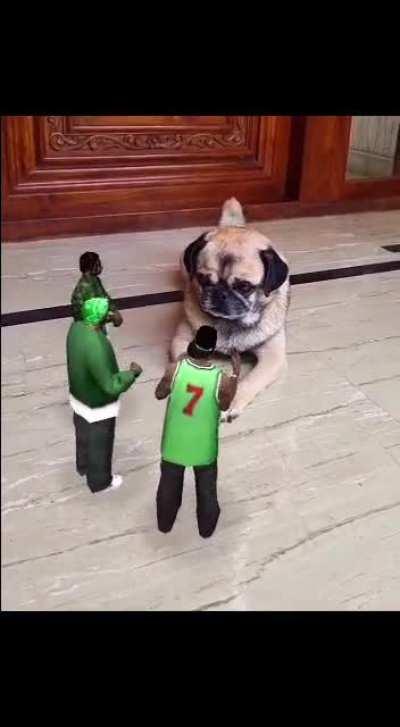 What are they planning?