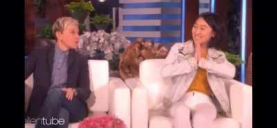 The signs were all there