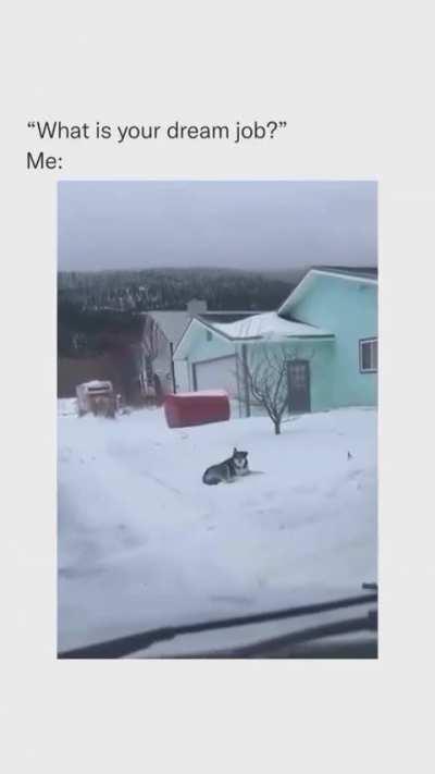 What is your dream job? Me 😍