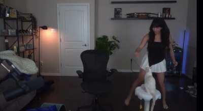 Cinna Cat Tricks - June 2024