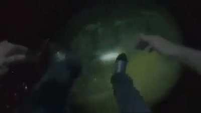 Skdoo bop (I don't have a good title)