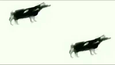 Suffer (shitpost day #1)