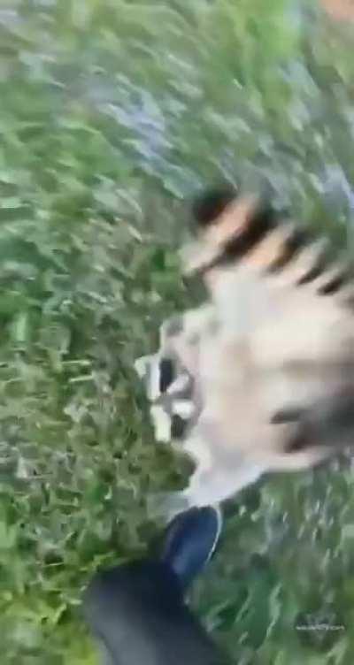 Every witcher 3 fight be like: