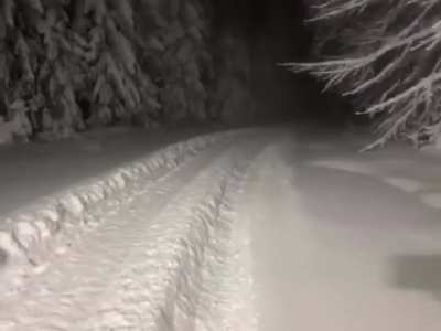 Opening scene of an Horror movie