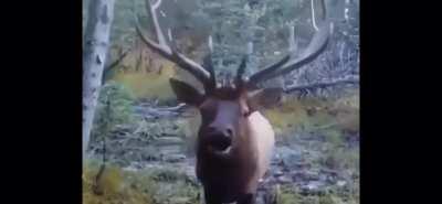 Me when I stub my toe at 3 AM