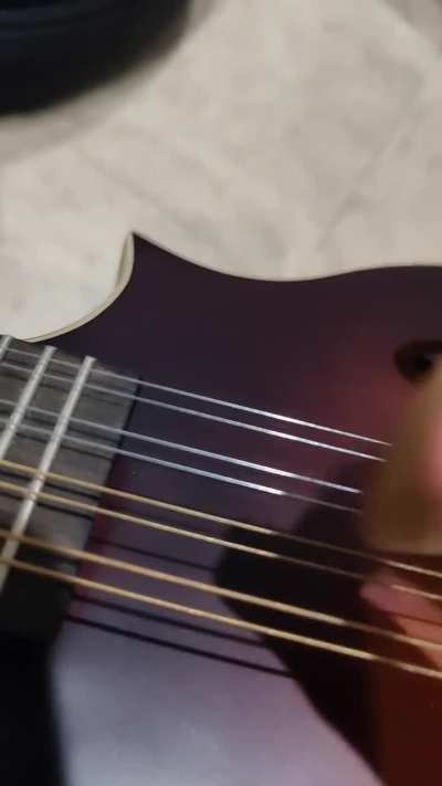 Buzzing on G string. I already tried to raise the bridge (towards the frets) unsuccessfully. Not sure what to do, this is new as of an hour ago.